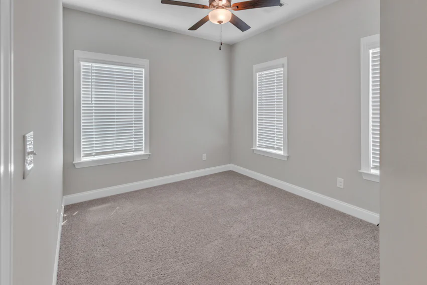 Gallery Photo 5