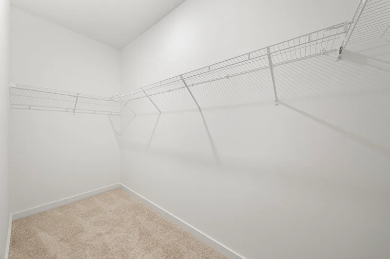 Gallery Photo 53