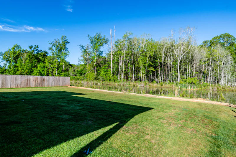 Gallery Photo 31